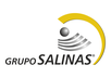 Grupo Salinas