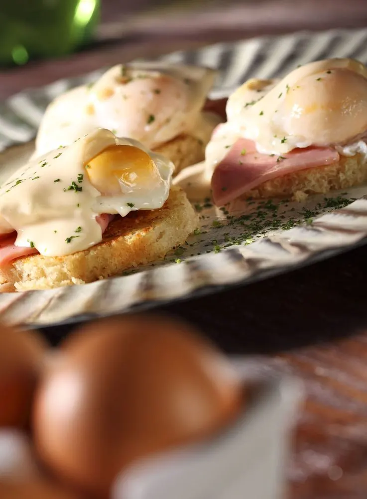 Gastronomía — huevos benedictinos